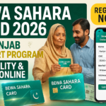 CM Punjab Bewa Sahara Card 2026